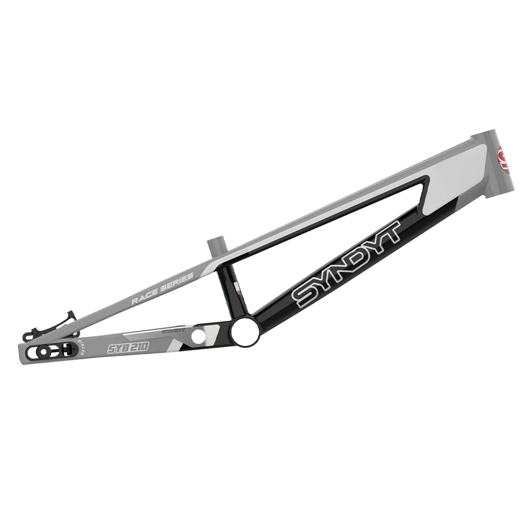 SYB 210: 21” TT Pro XL BMX Frame