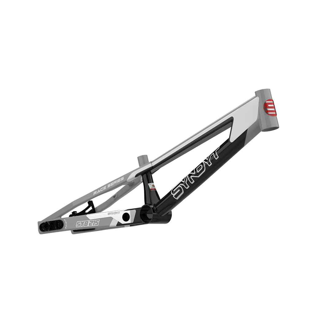 SYB 215: 21.5” TT Pro 2XL BMX Frame