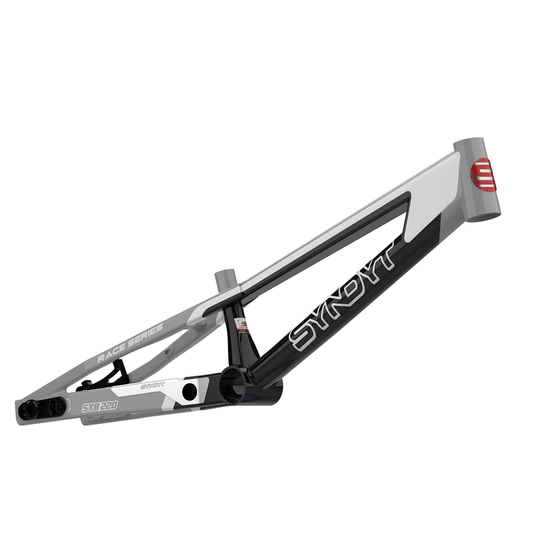 SYB 220: 22” TT Pro 3XL BMX Frame