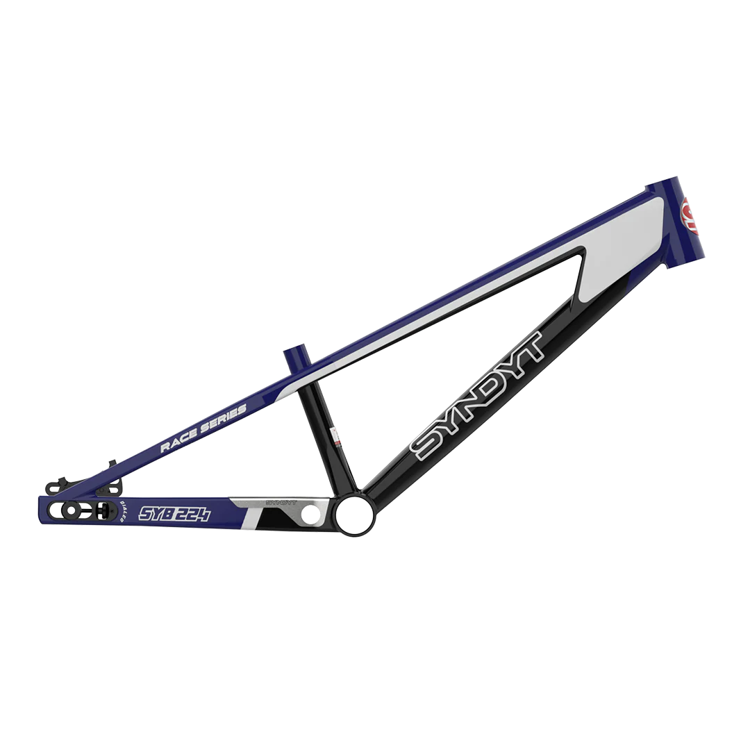 SYB 224: 22” TT Pro 24 XL BMX Frame