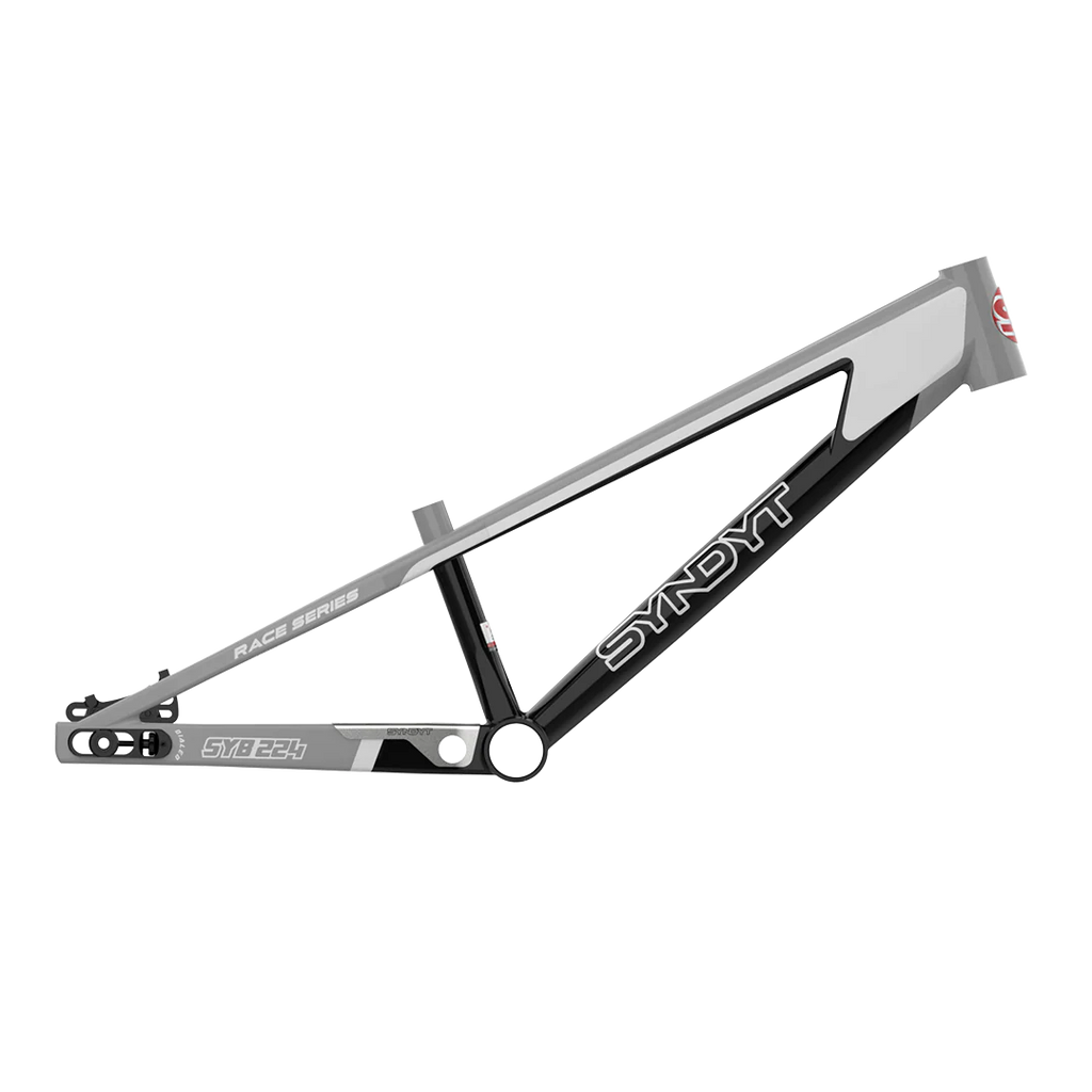 SYB 224: 22” TT Pro 24 XL BMX Frame