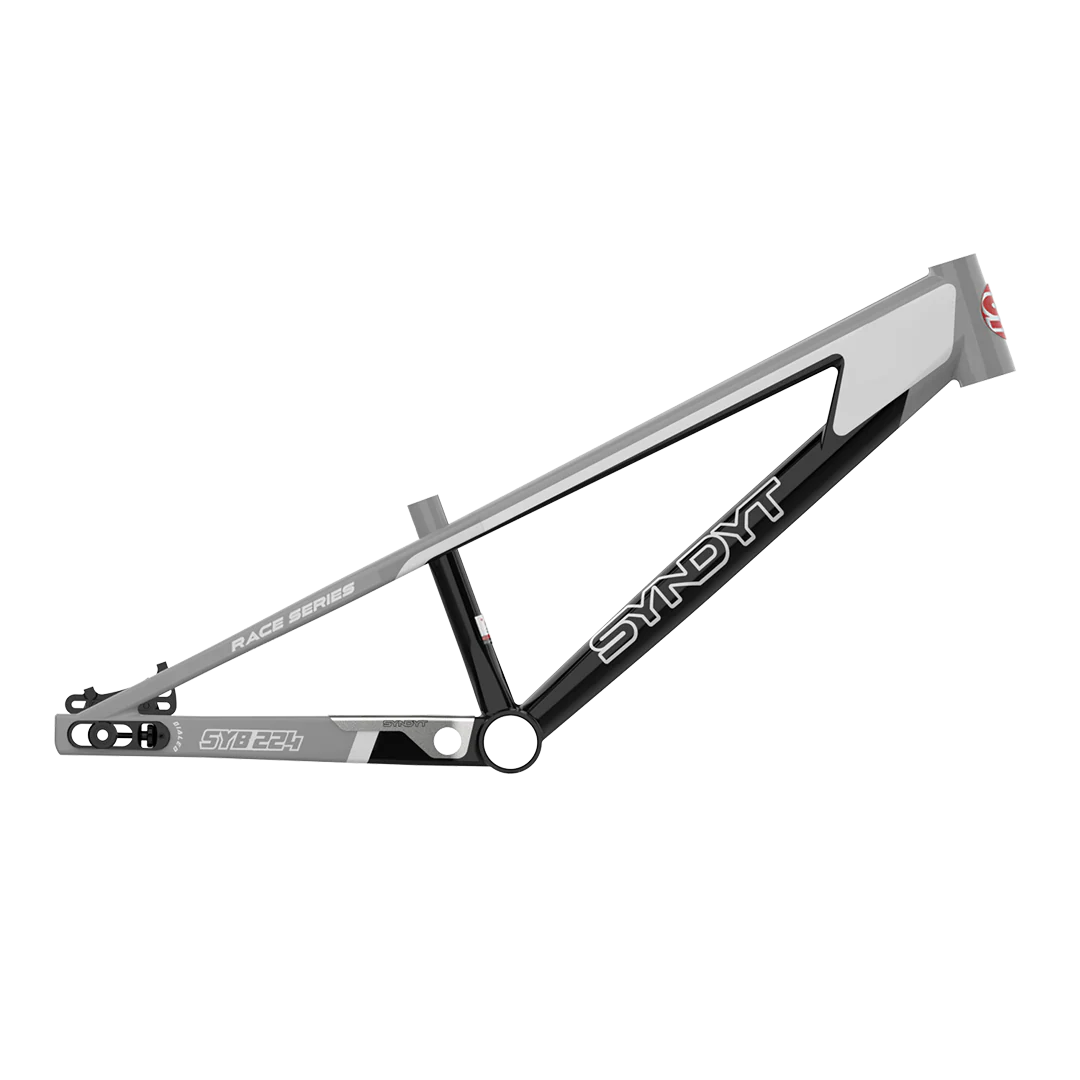 SYB 224: 22” TT Pro 24 XL BMX Frame