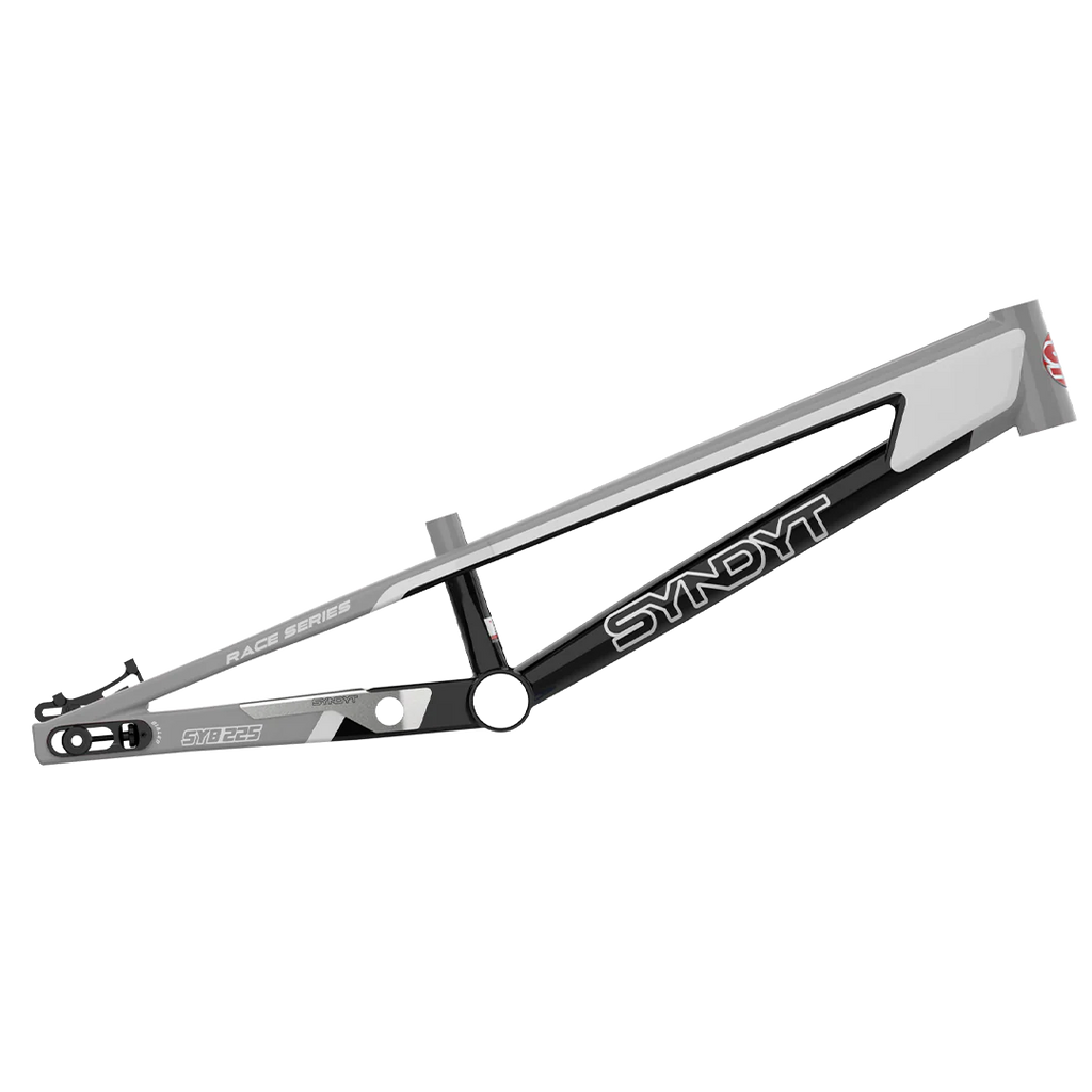 SYB 225: 22.5” TT Pro 4XL BMX Frame
