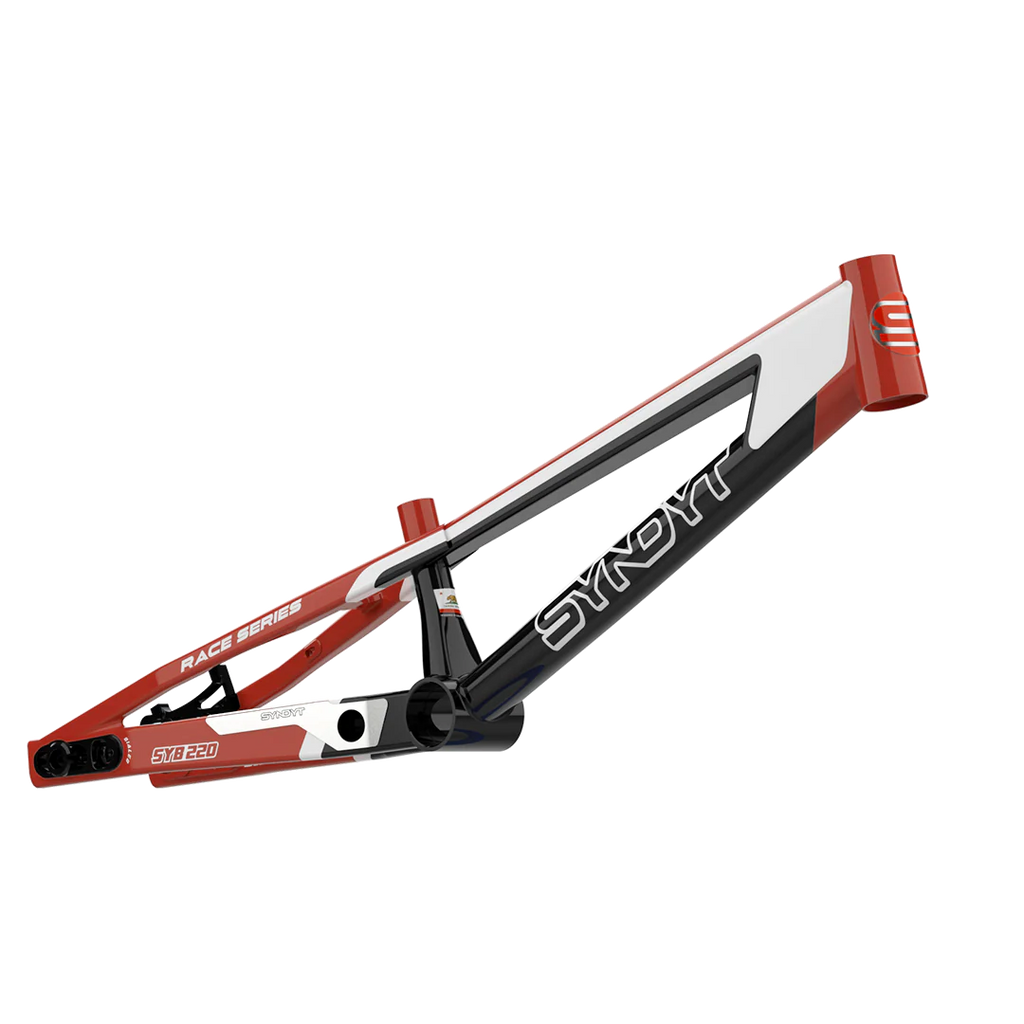 SYB 220: 22” TT Pro 3XL BMX Frame