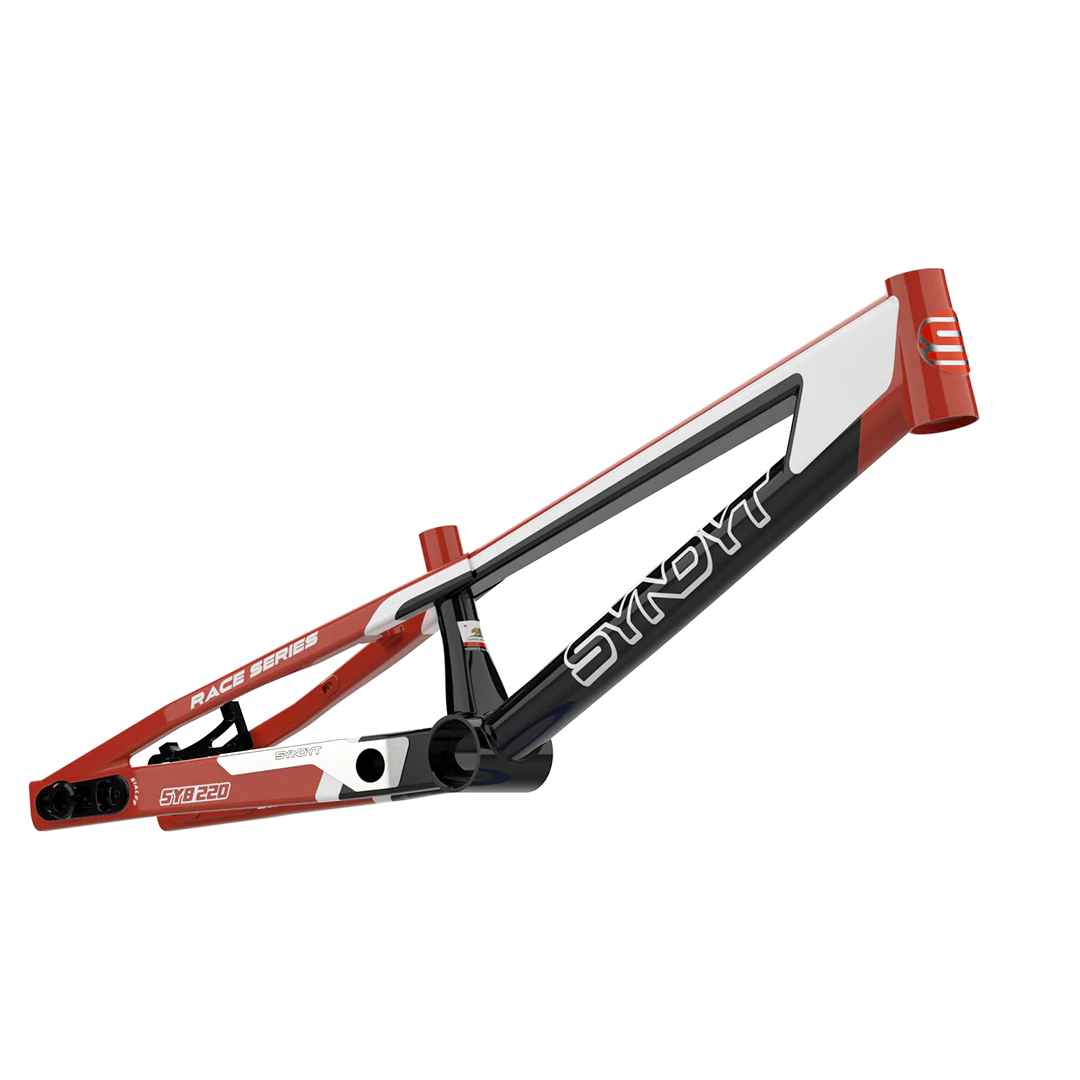 SYB 220: 22” TT Pro 3XL BMX Frame