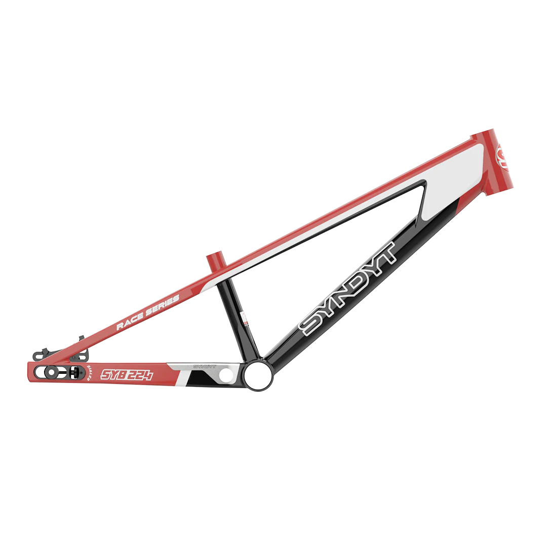 SYB 224: 22” TT Pro 24 XL BMX Frame