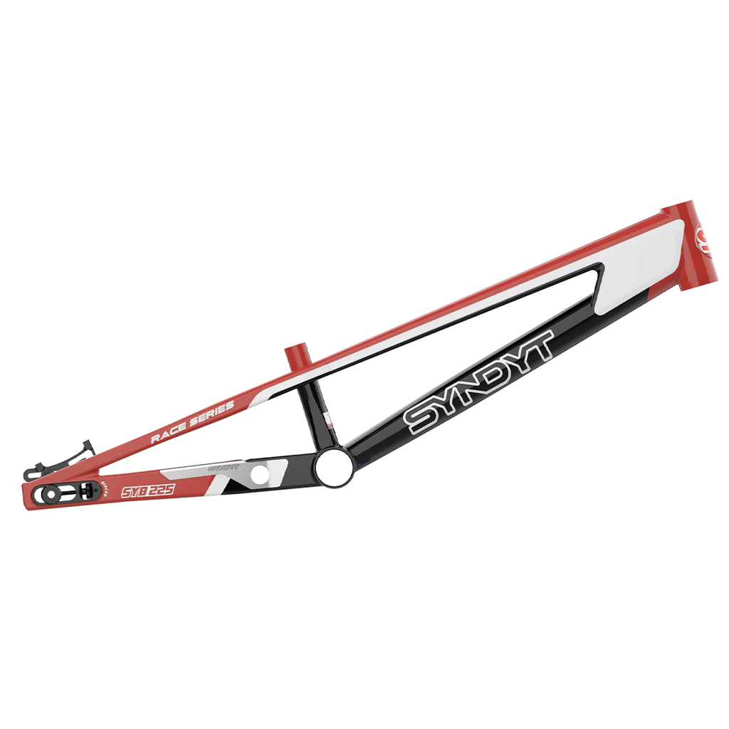 SYB 225: 22.5” TT Pro 4XL BMX Frame